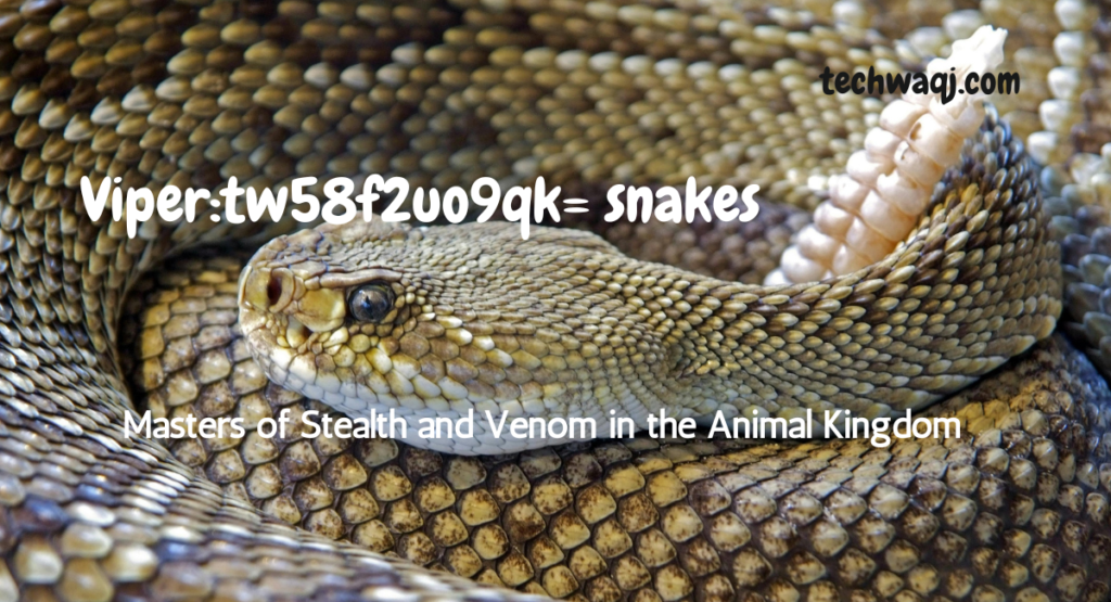 viper:tw58f2uo9qk= snakes